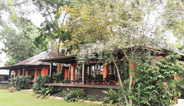 chiang mai resort for sale