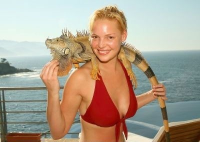 Katherine Heigl sexy swimsuits pics